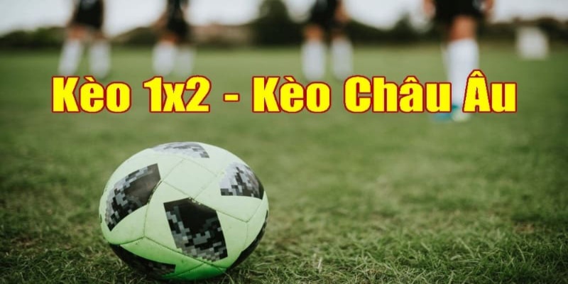 Tham khảo cách đọc kèo 1X2 cơ bản nhất